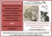 FREE Drawing Cats & Dogs via email